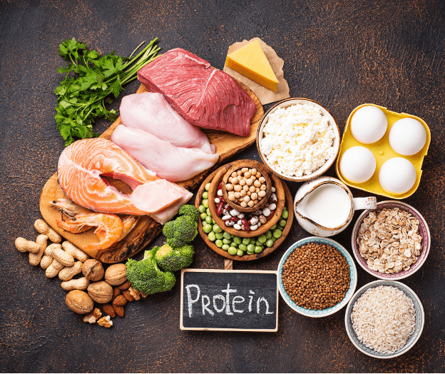 protein foods